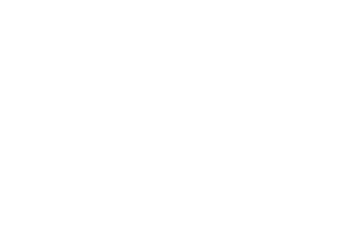 VC520 Pro SmartFrame Target